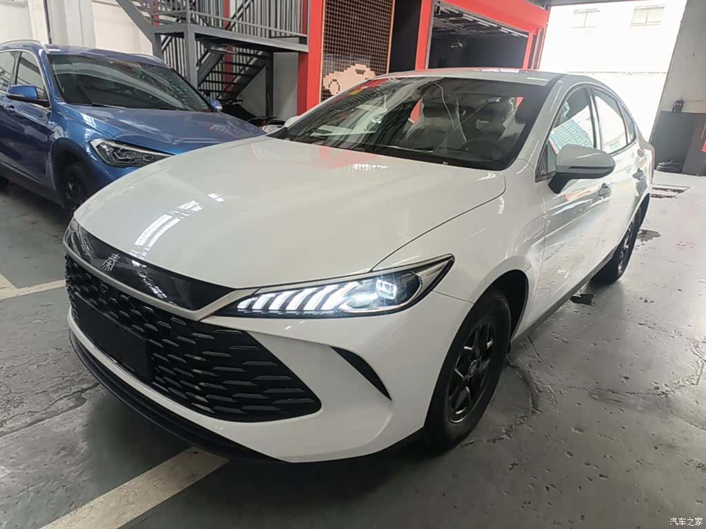 BYD Qin, 2026 1