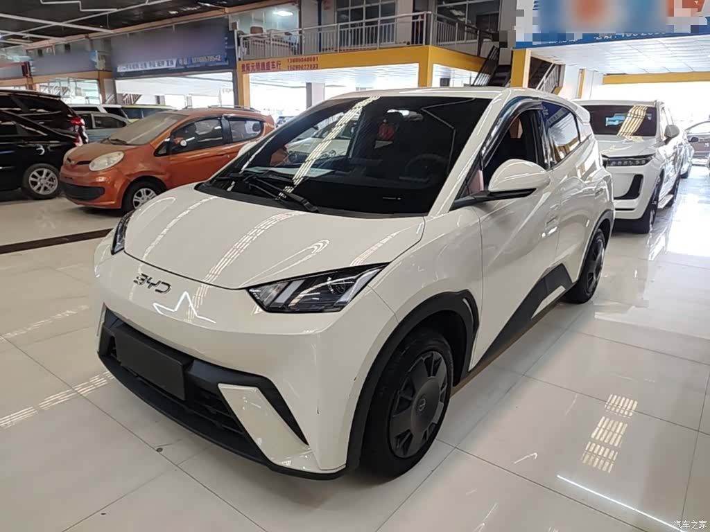 BYD Seagull, 2024 1