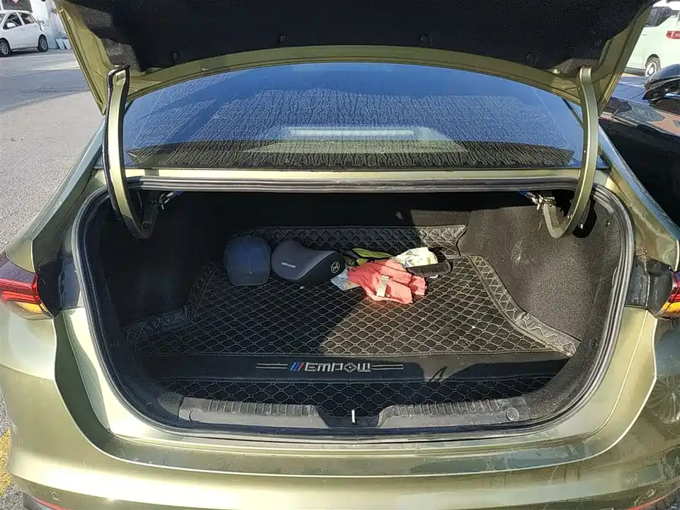 Trumpchi Shadow Leopard