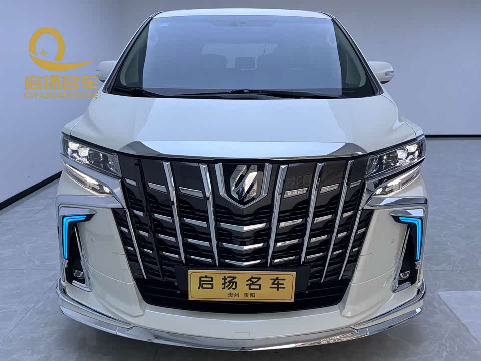 Toyota Elfa