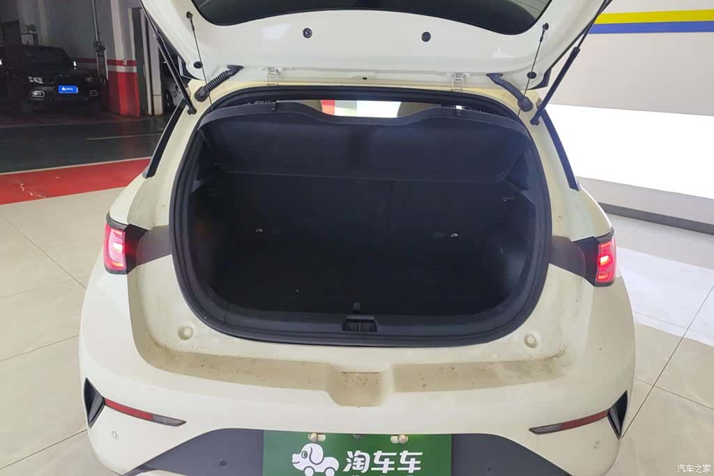 BYD Dolphin, 2025 4