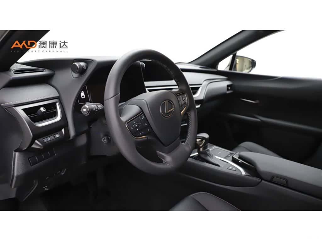 Lexus UX, 2022 6