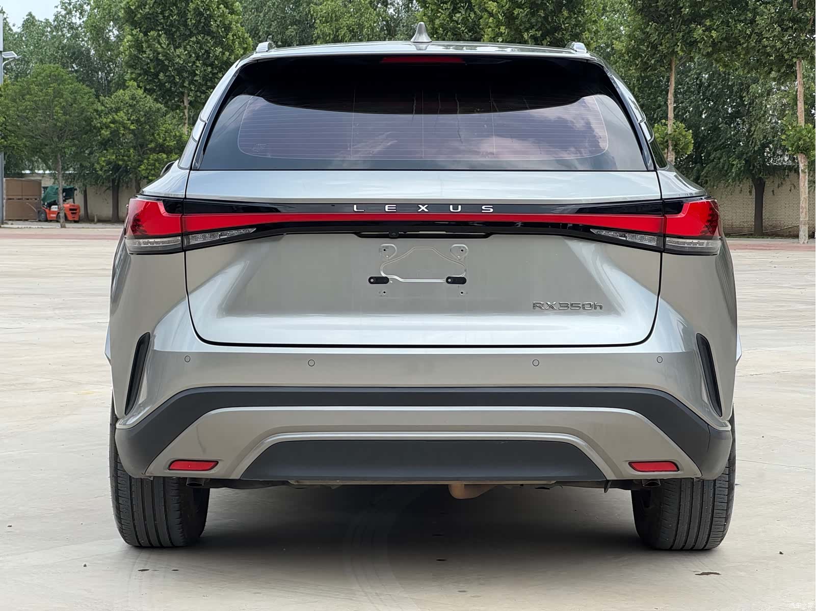 Lexus RX, 2024 все фото