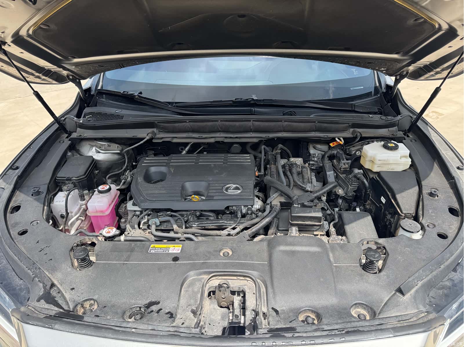 Lexus RX, 2024 20