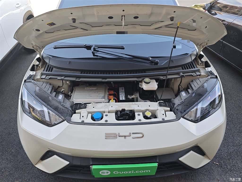 BYD Seagull, 2023 11