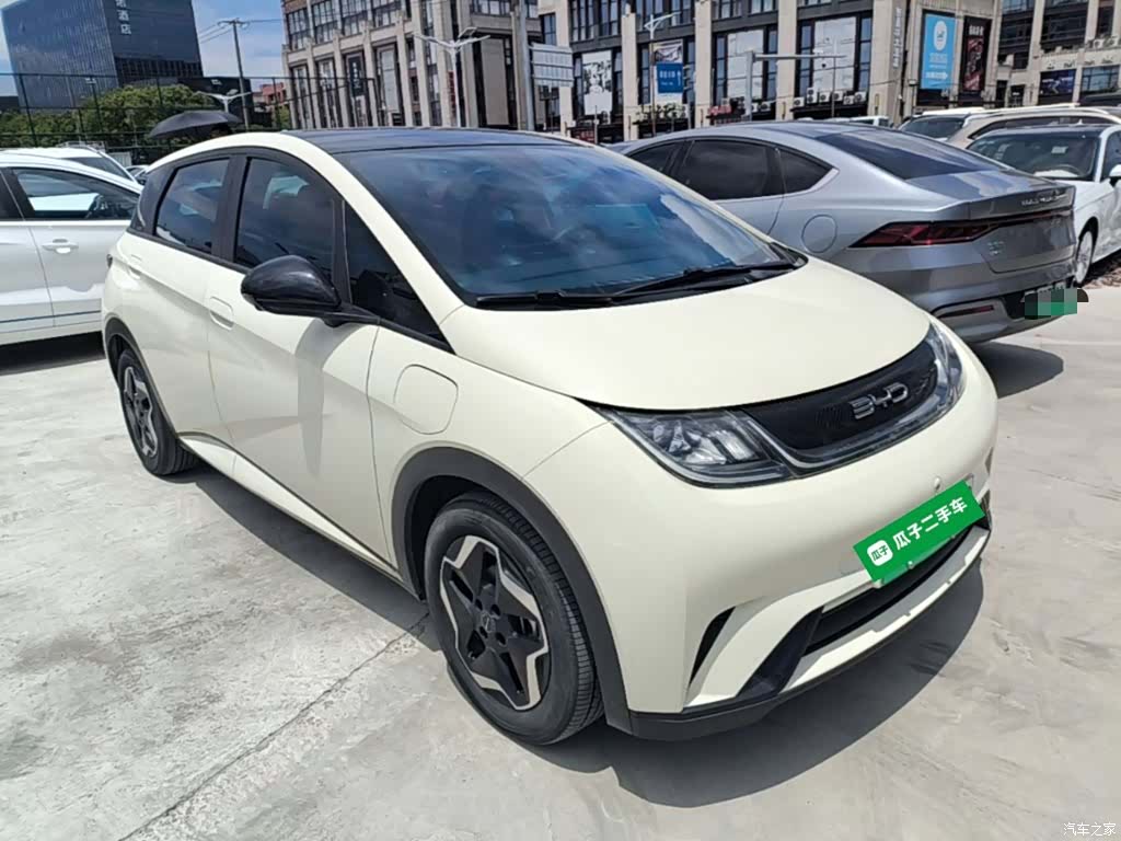 BYD Dolphin, 2023 4