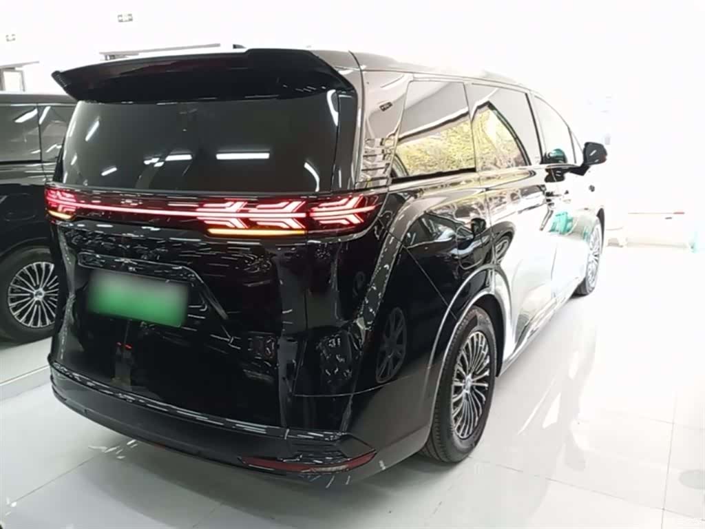 Denza D9, 2025 7