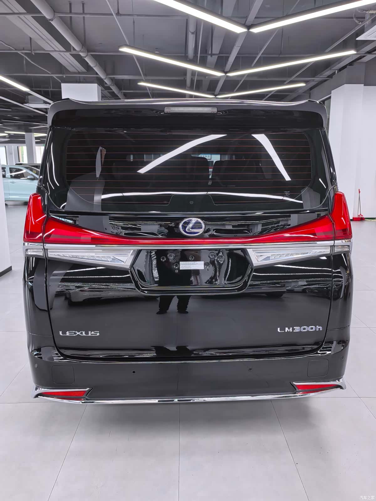 Lexus LM, 2023 все фото