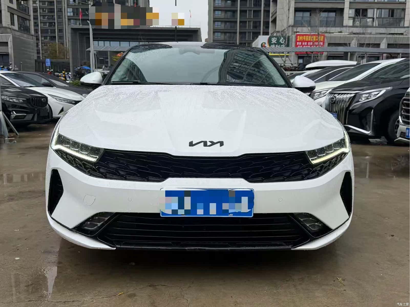 Kia K5, 2022 2