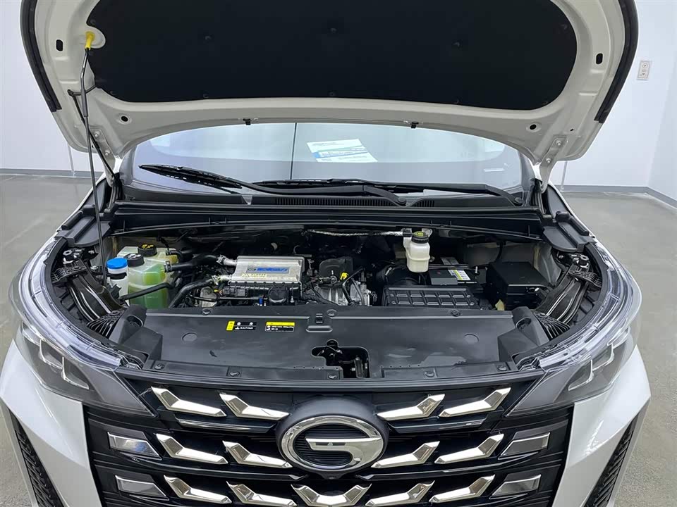 Trumpchi Trumpchi M6