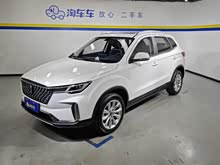 ����T33 2019�� 1.6L �ֶ������� ��V