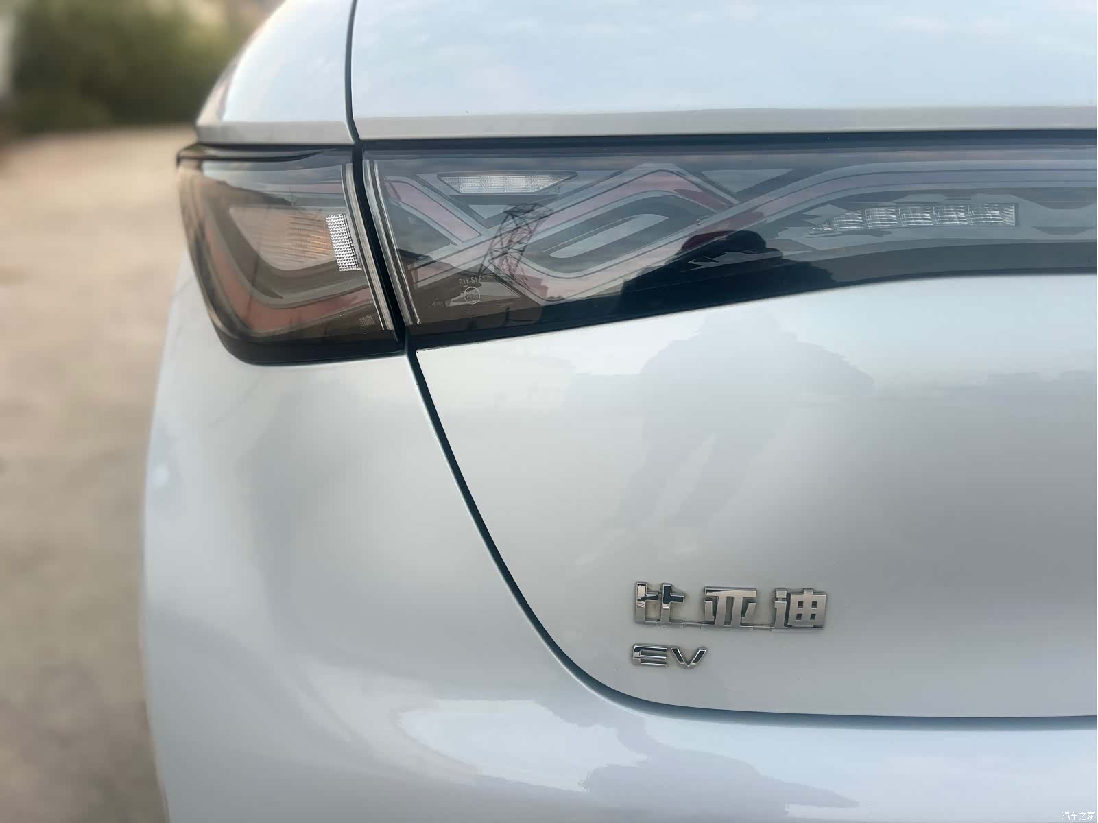 BYD Dolphin, 2021 13