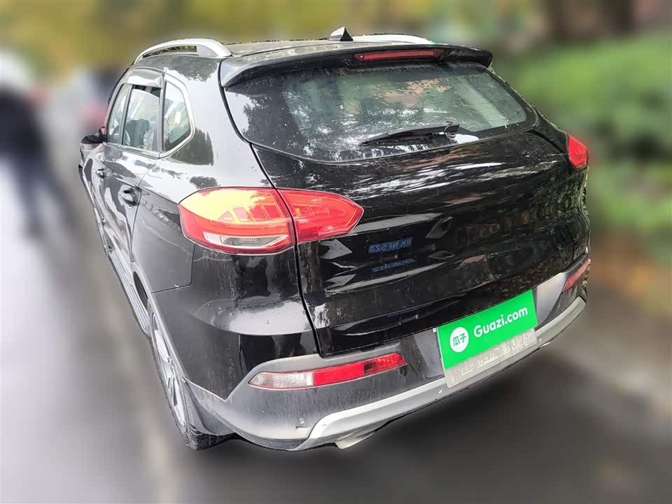 Leopaard Cheetah CS10