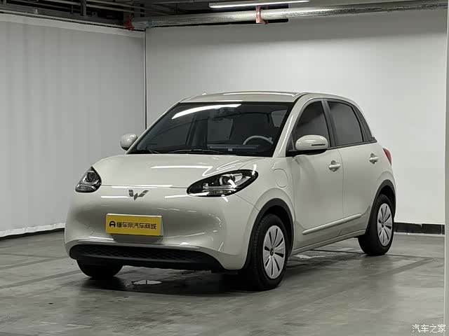 Wuling Bingo