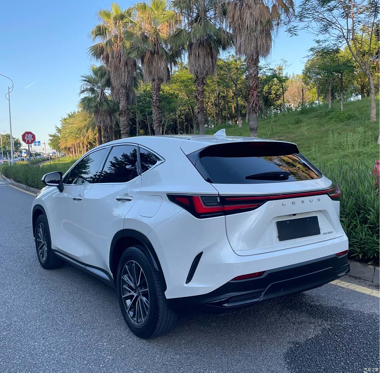 Lexus NX, 2022 все фото