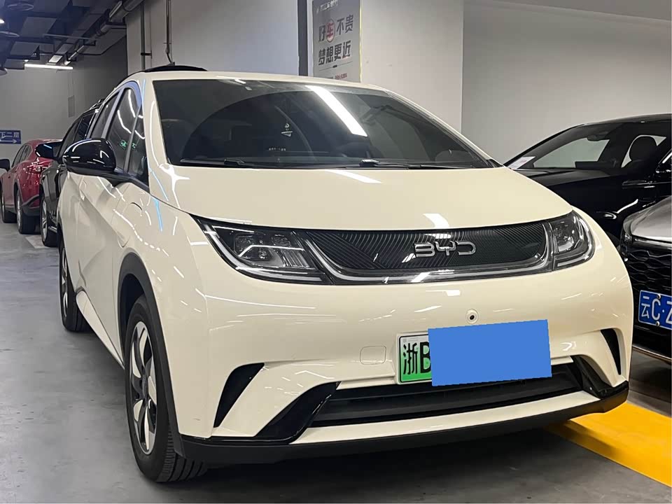 BYD dolphin
