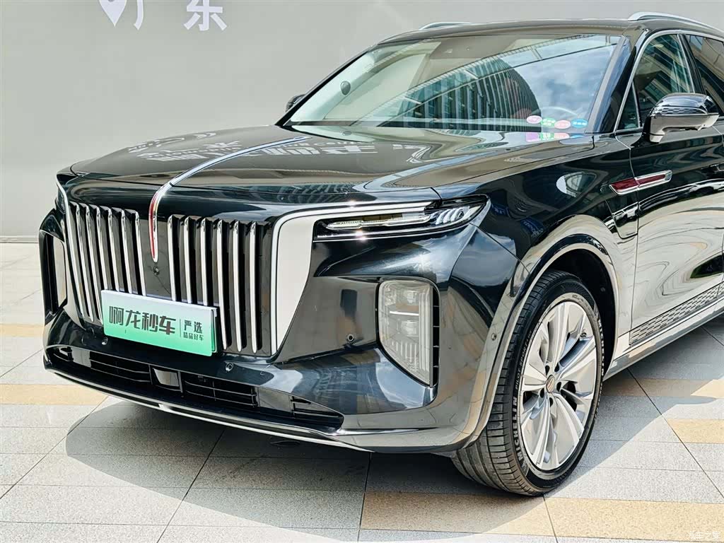 Hongqi E-HS9, 2023 16