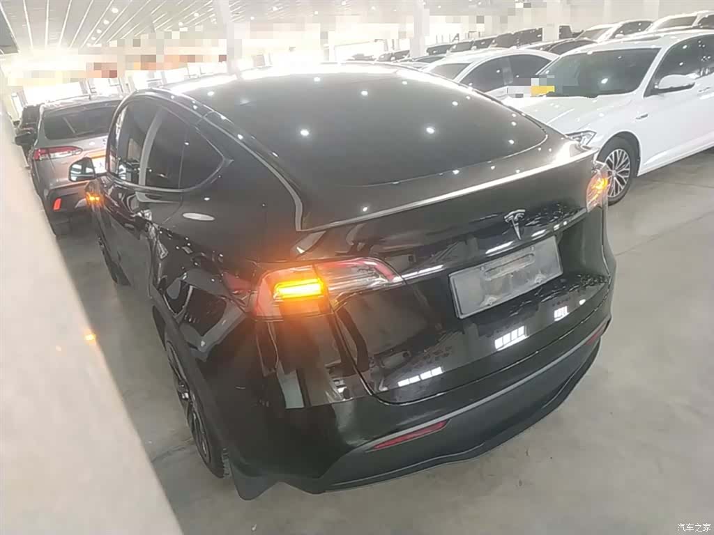 Tesla Model Y, 2023 все фото