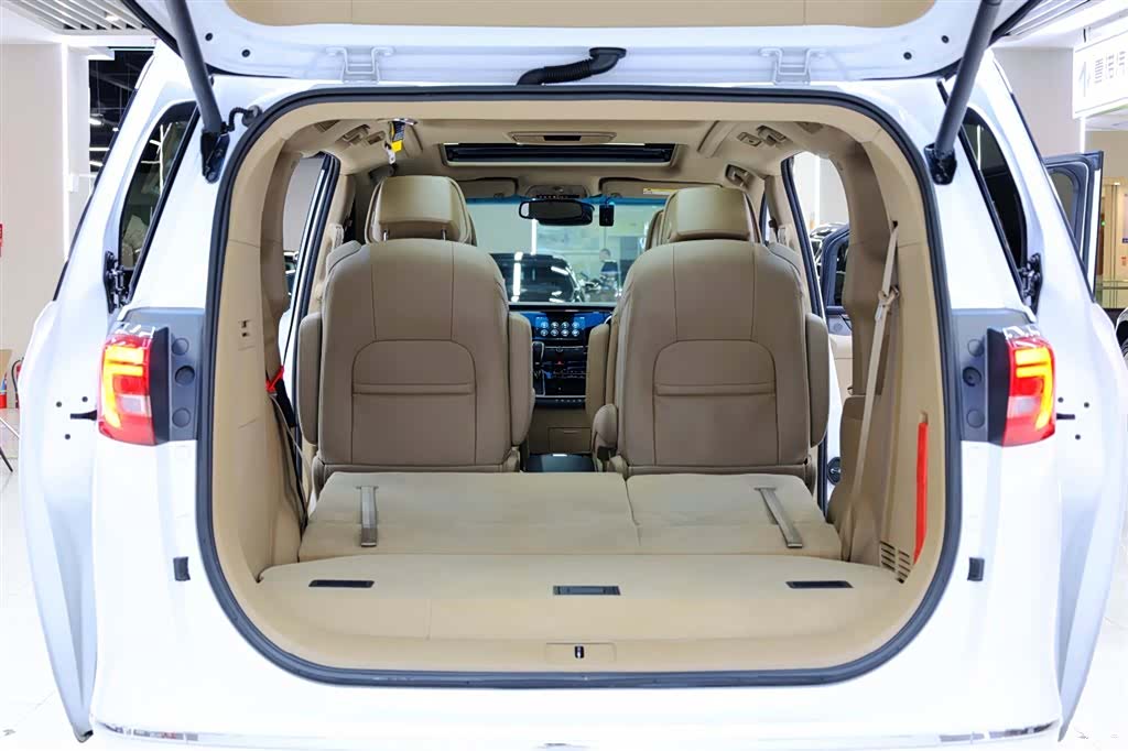 Buick GL8, 2018 34