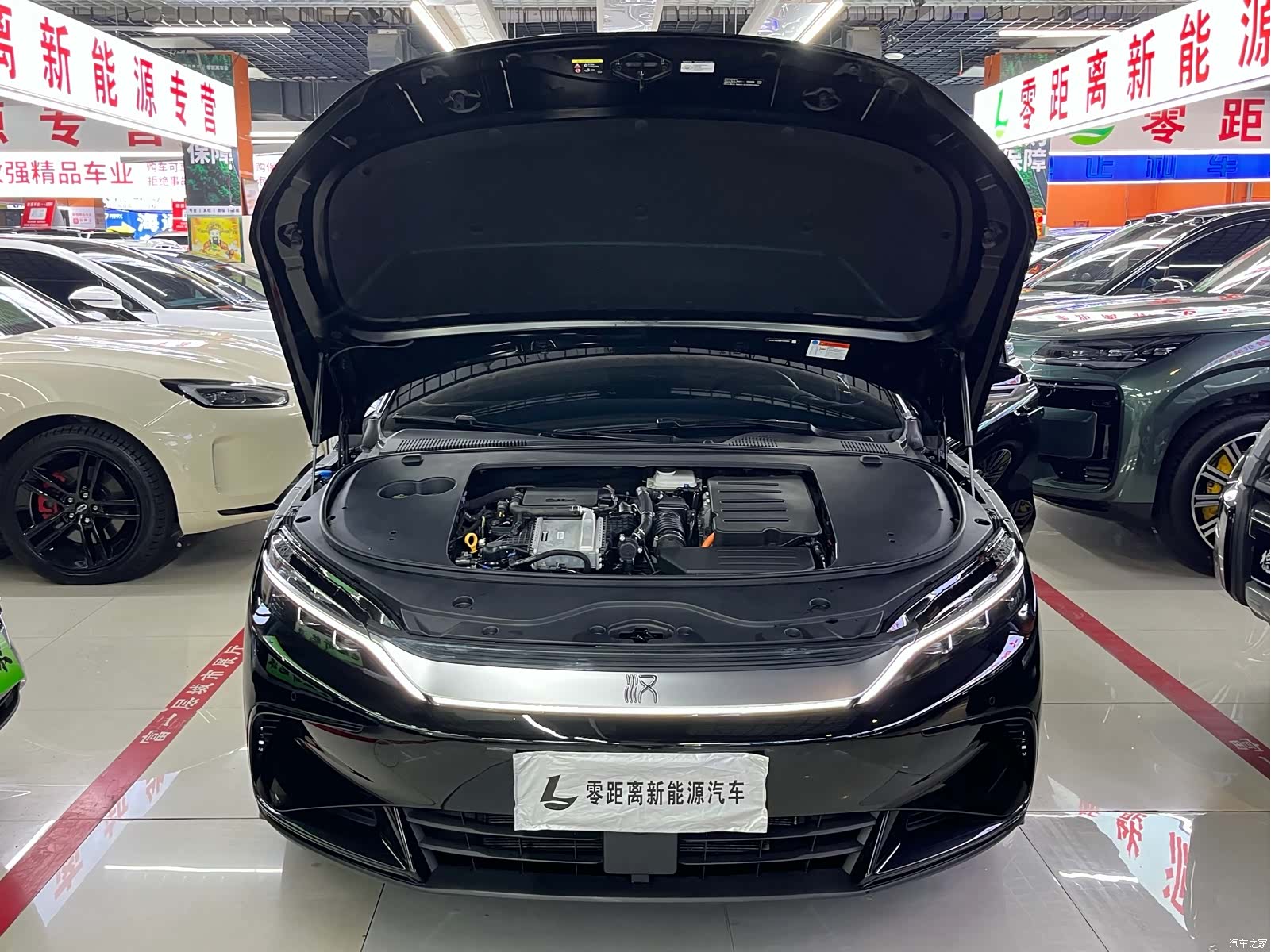BYD Han, 2024 16