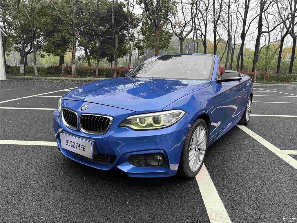 BMW 2 Series, 2015 все фото