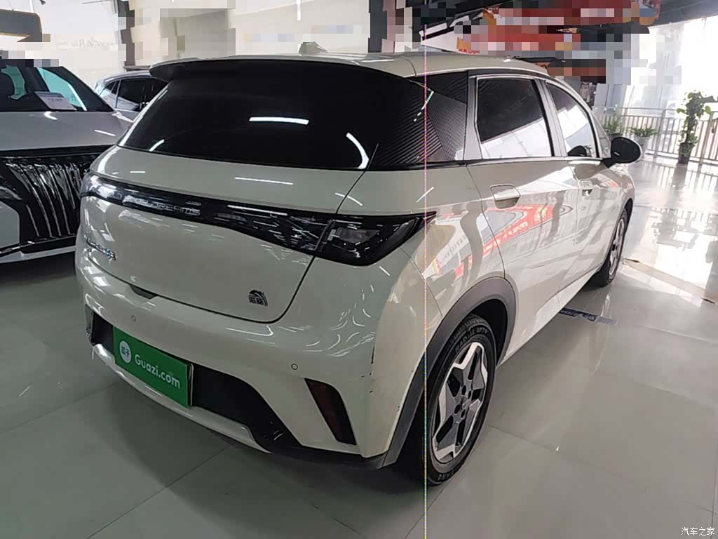 BYD Dolphin, 2022 7
