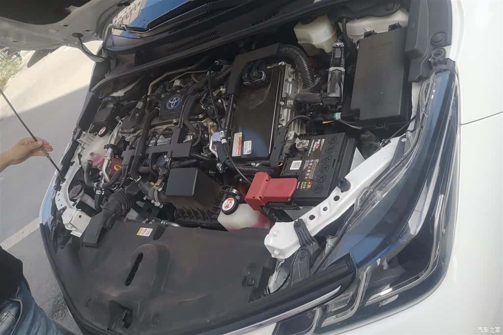 Toyota Corolla, 2022 10