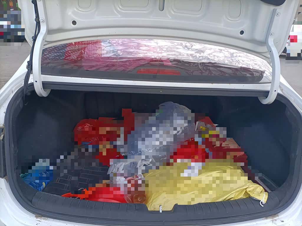 Hyundai GL, 2018 10
