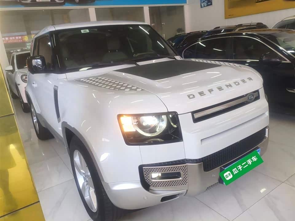 Land Rover guard