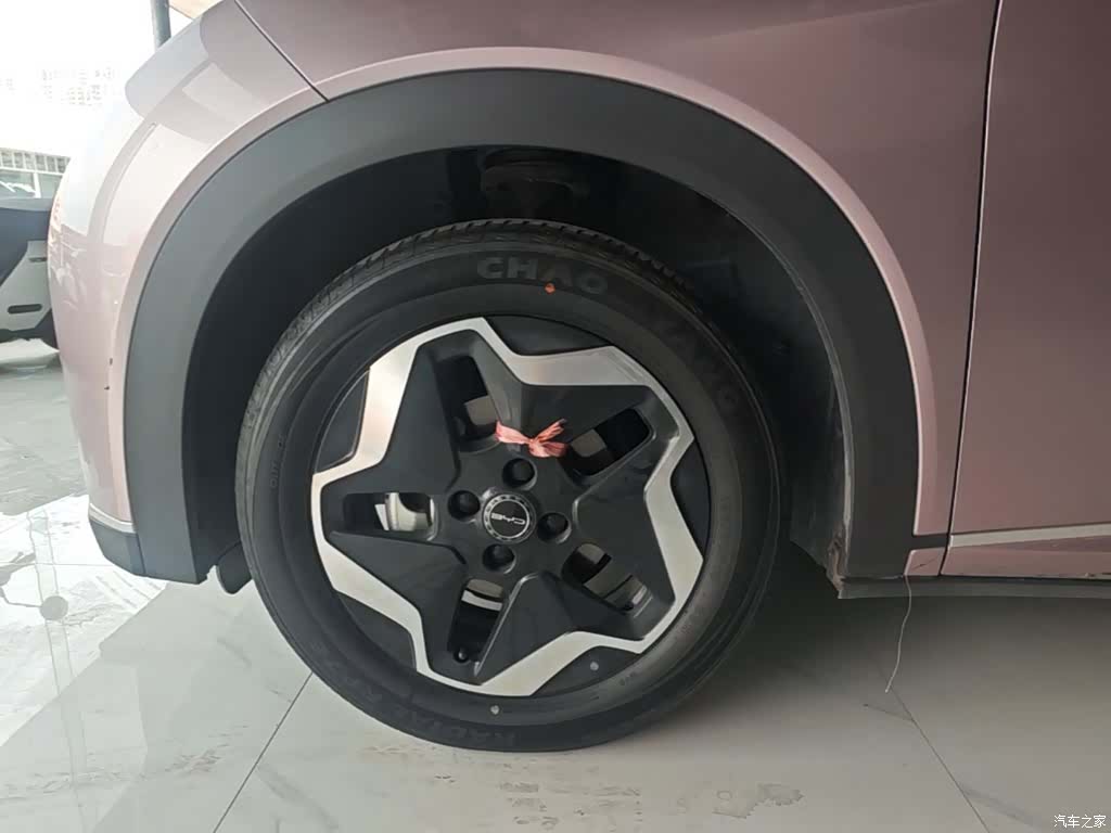 BYD Dolphin, 2022 23