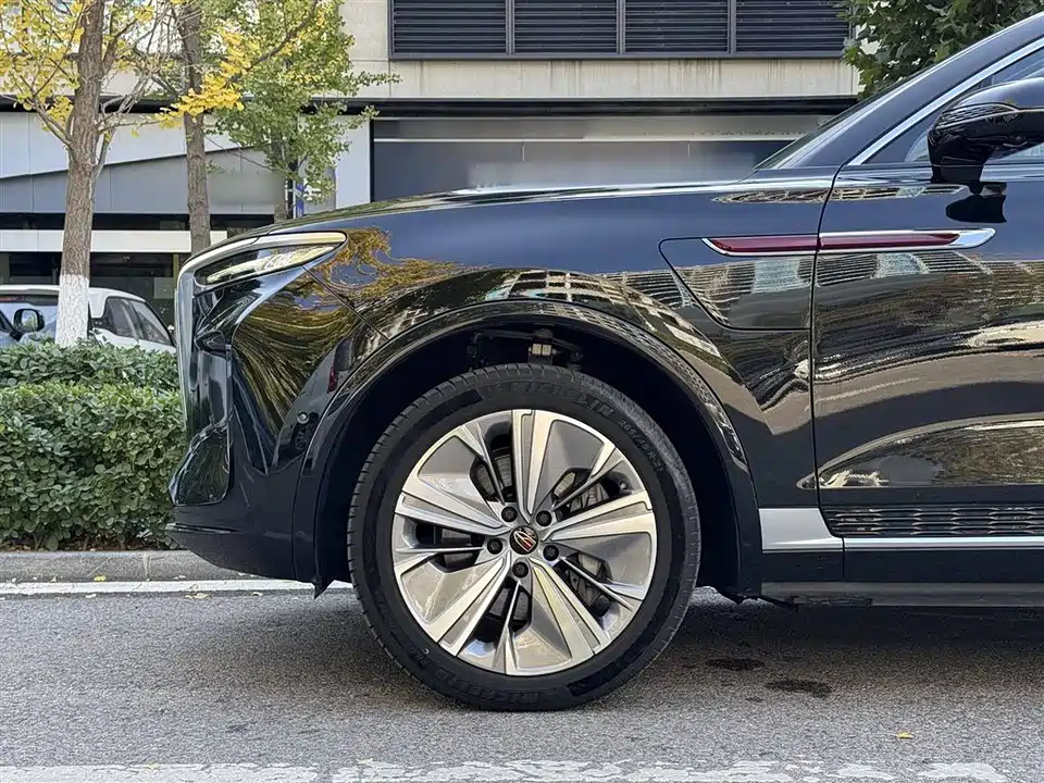 Hongqi E-HS9
