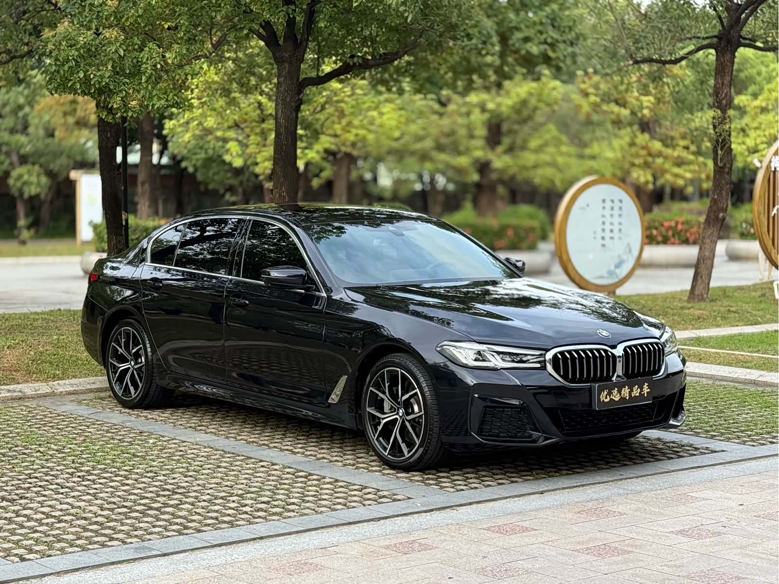 BMW 5 Series, 2021 3