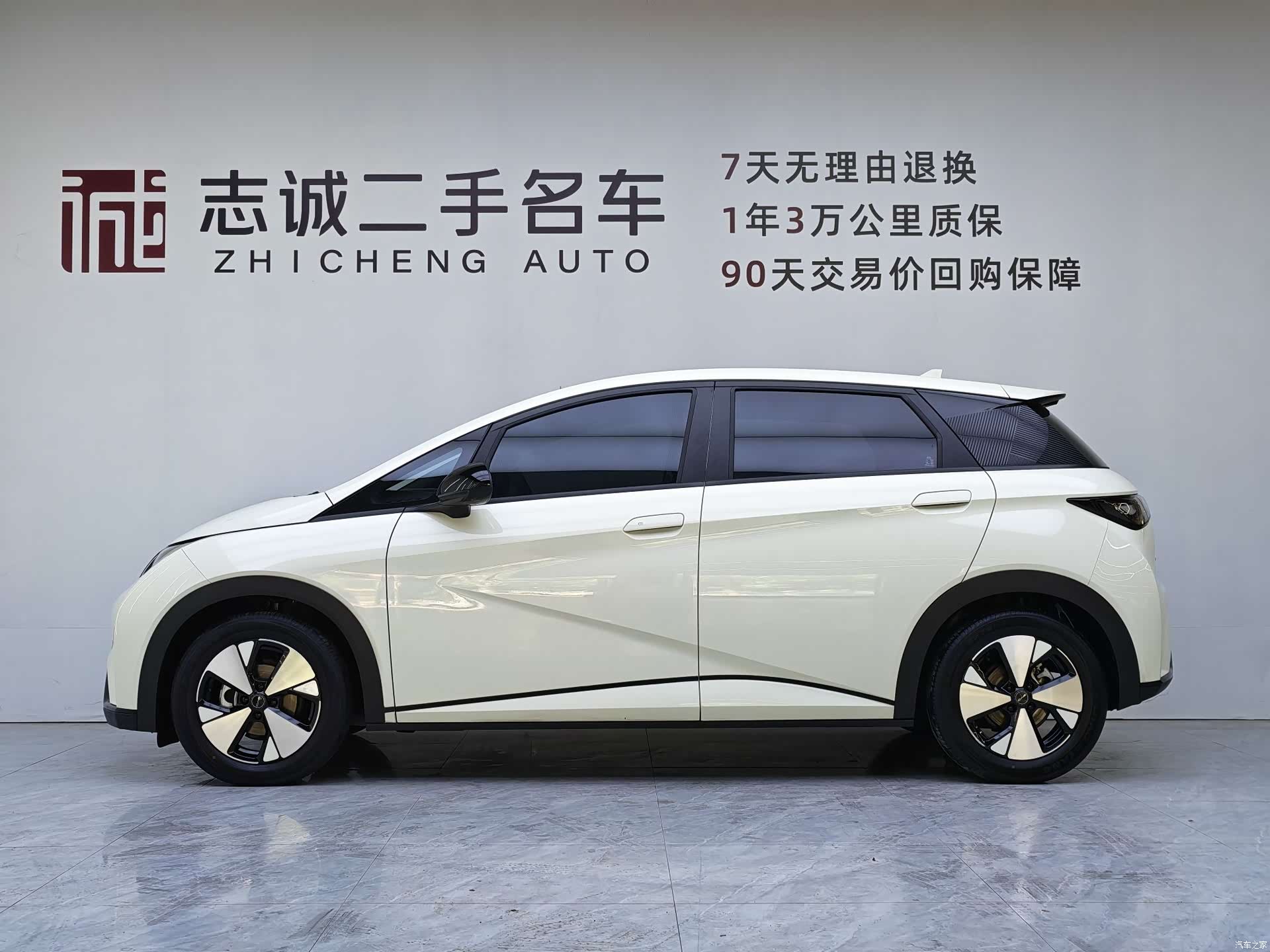 BYD Dolphin, 2024 8