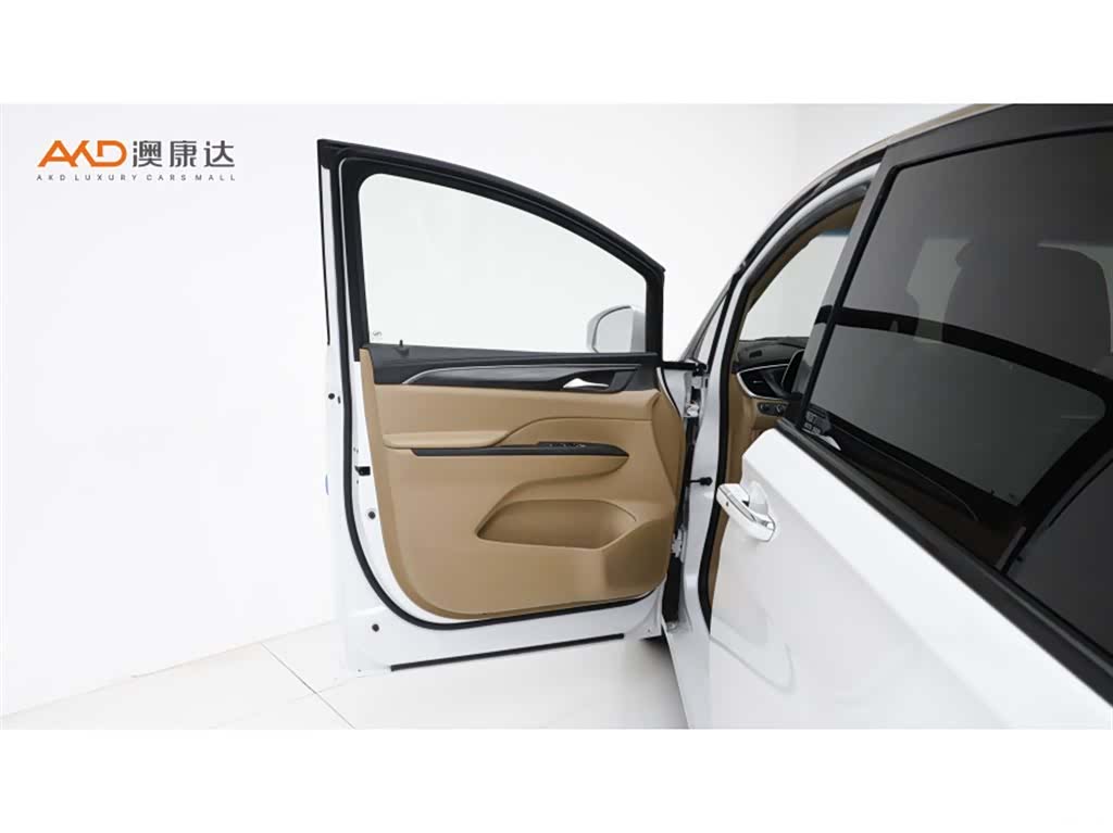 Buick GL8, 2020 11