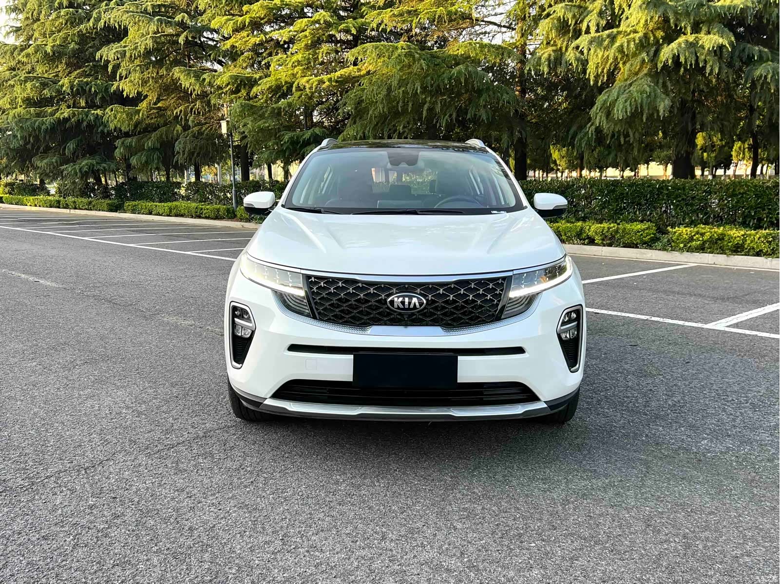 Kia KX5, 2021 все фото
