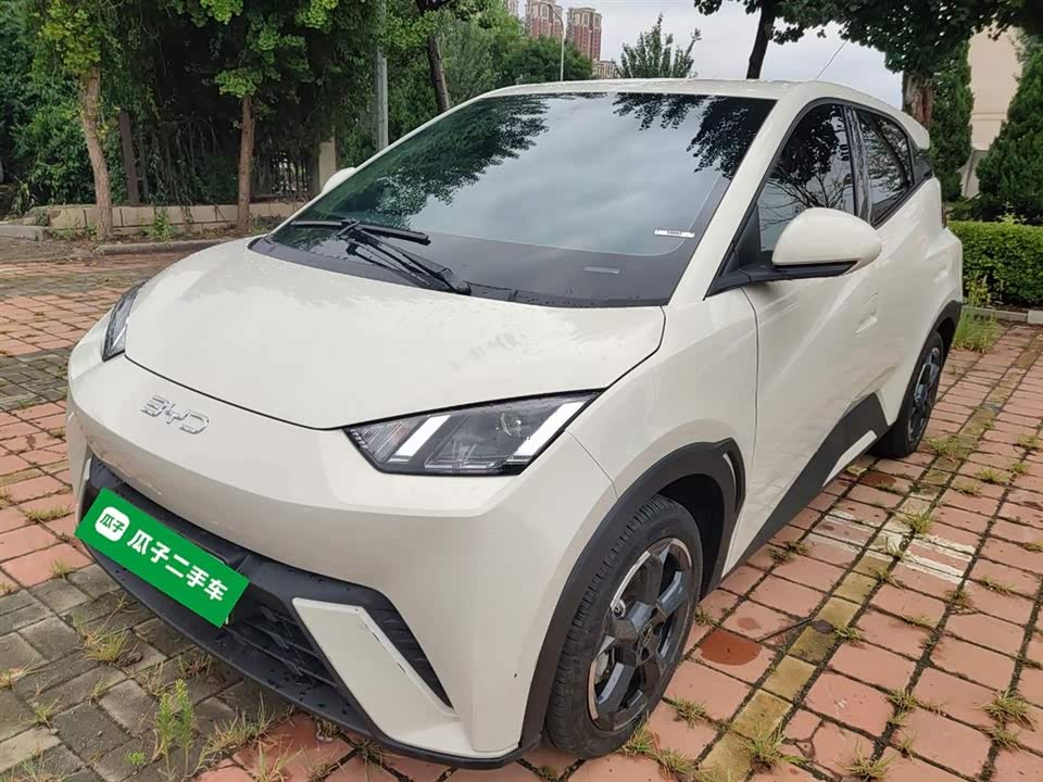 BYD Seagull