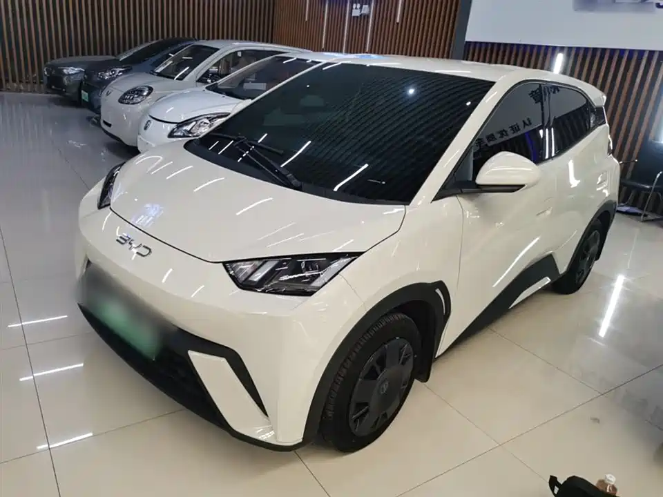 BYD Seagull