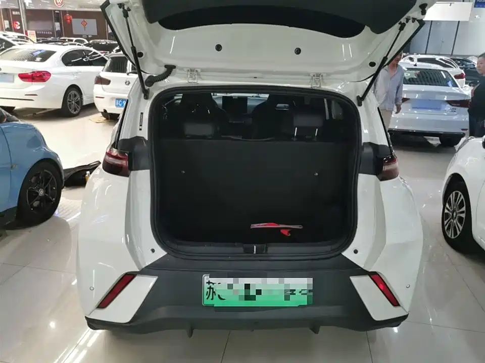 BYD Seagull