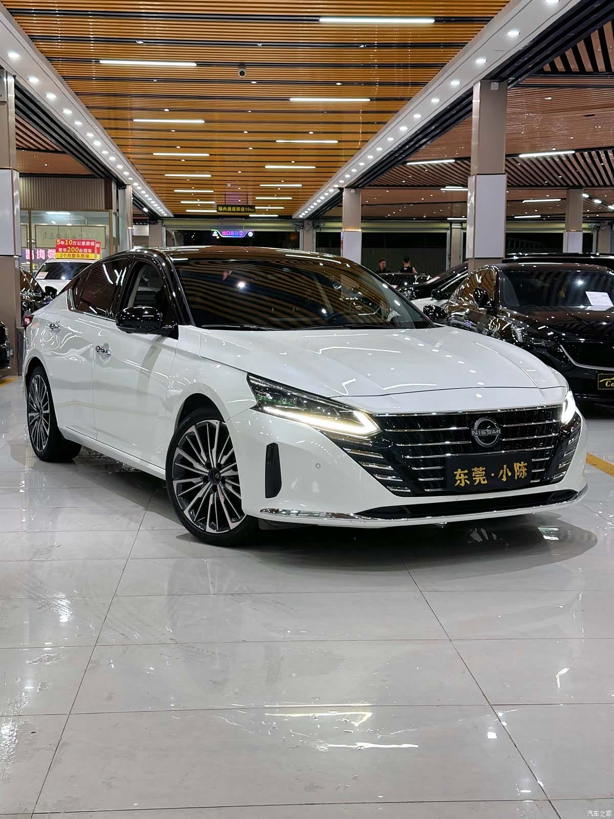 Nissan Teana, 2023 3