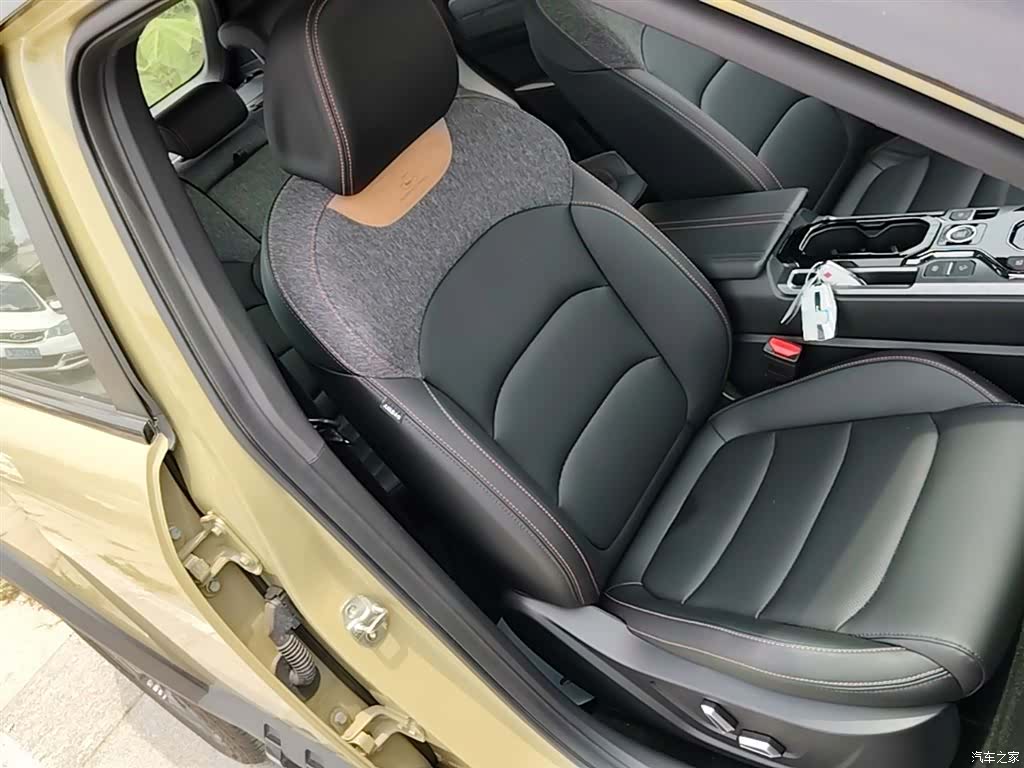 Geely 1.5TD, 2024 25