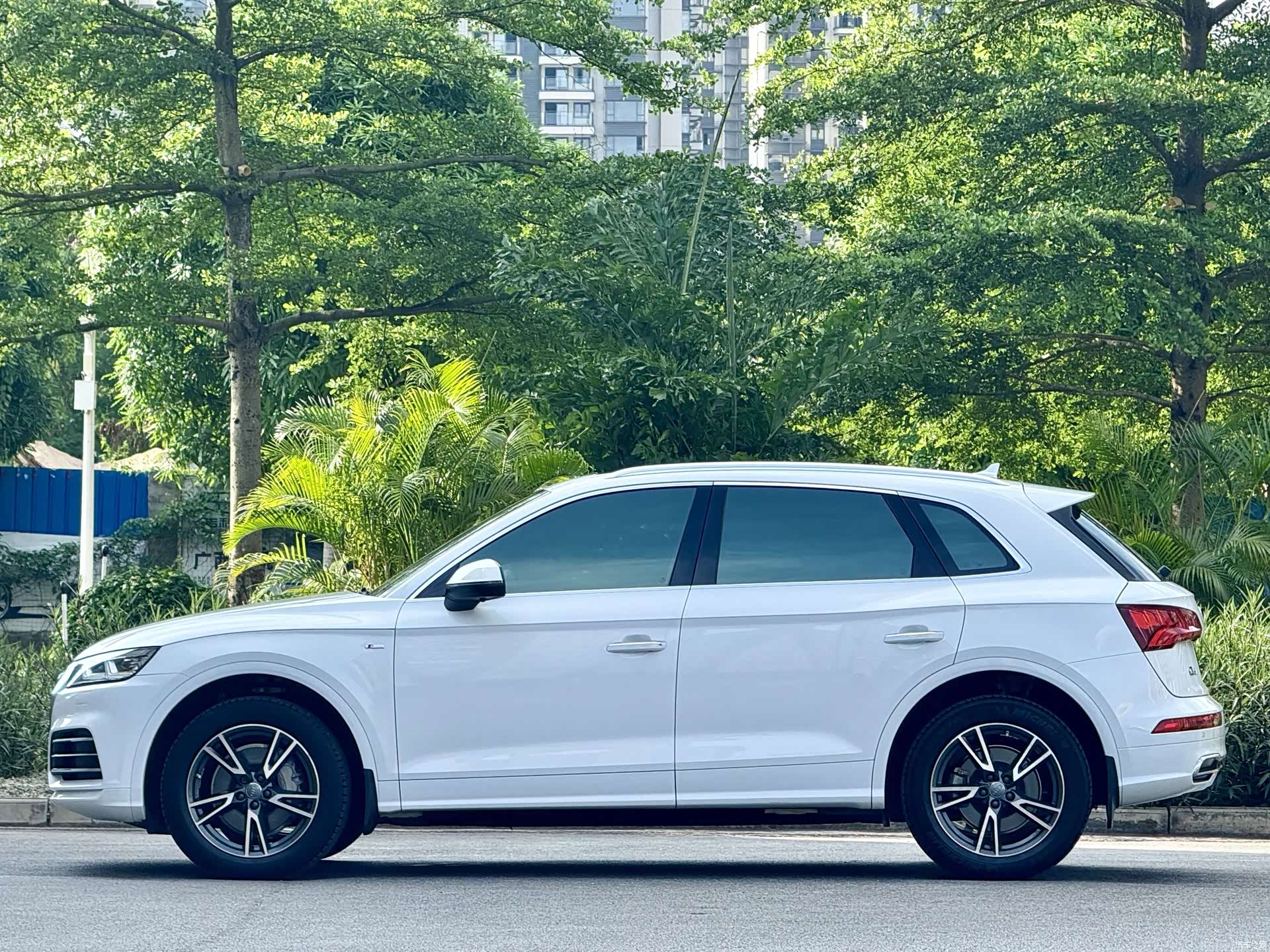 Audi Q5L, 2019 все фото