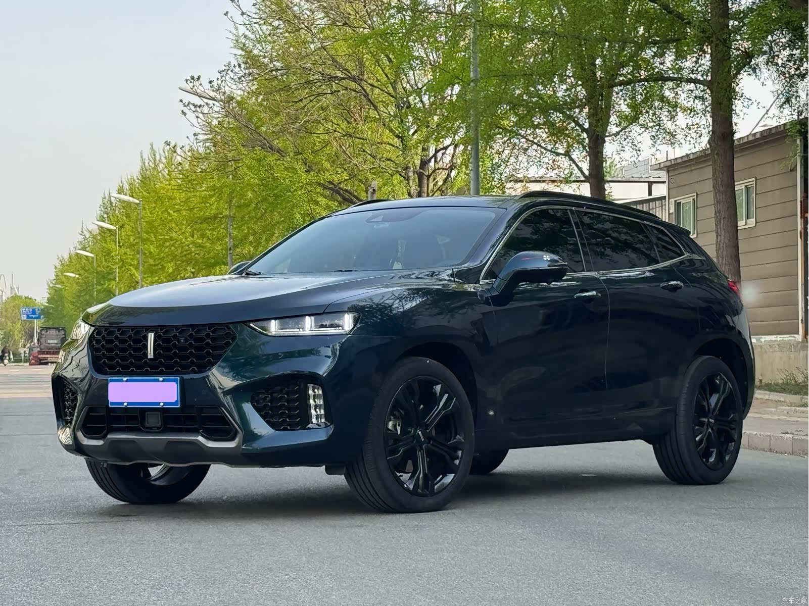 WEY VV7, 2019 1