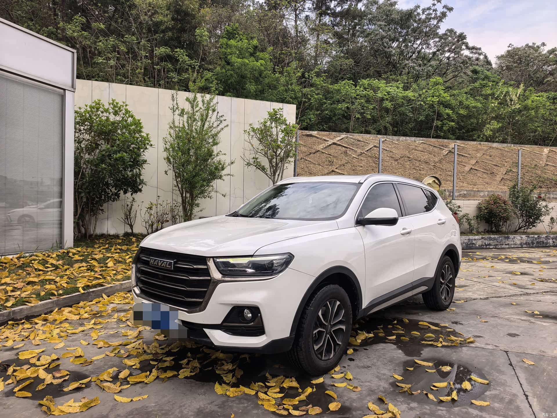 Haval H6, 2022 1