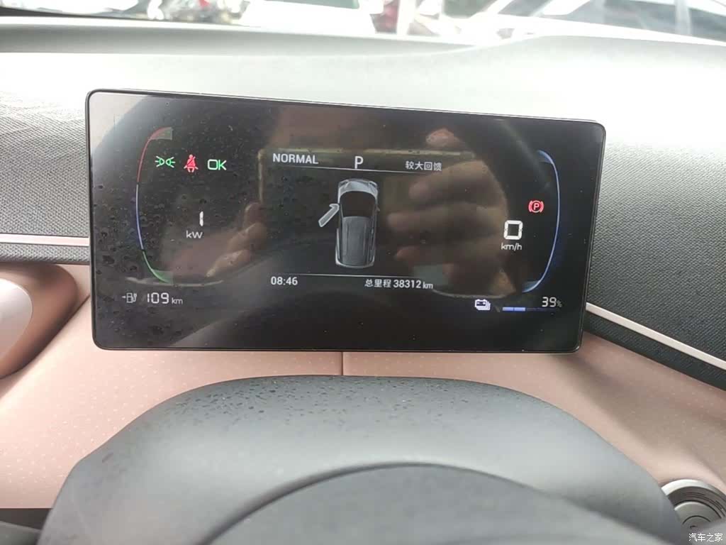 BYD Seagull, 2024 12