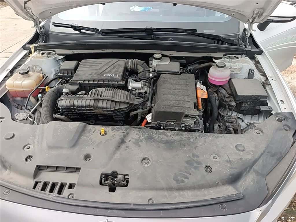 BYD Qin, 2024 11