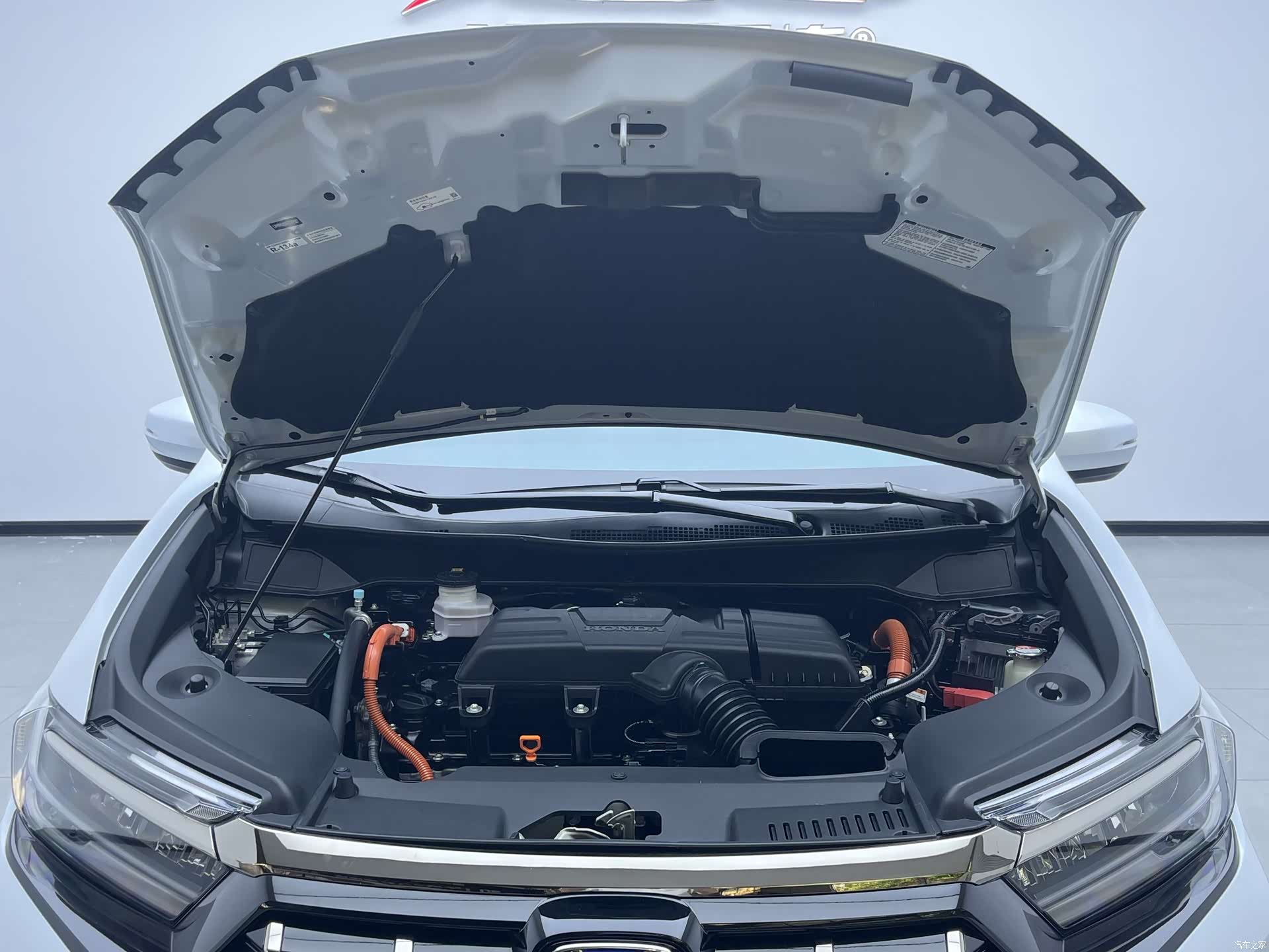 Honda Elysion, 2024 11