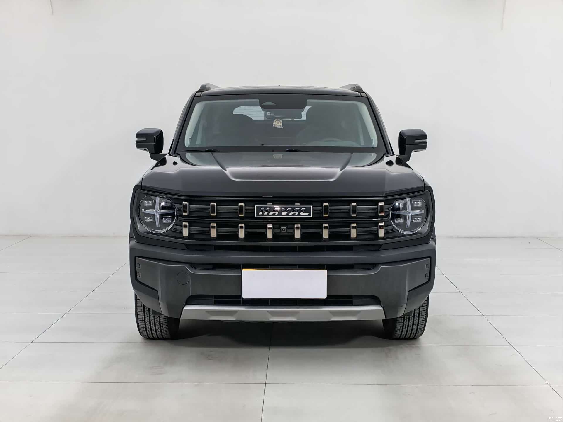 Haval Cool Dog, 2022 2