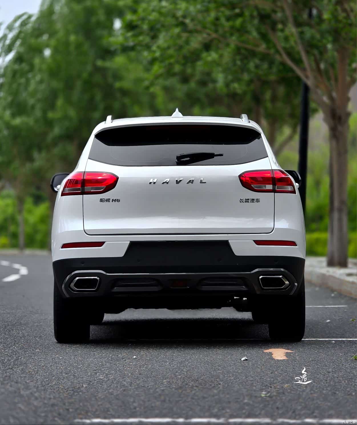 Haval H6, 2020 все фото