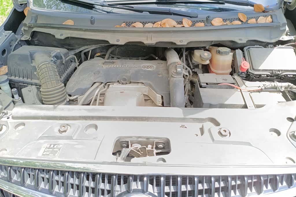 Buick GL8, 2019 10