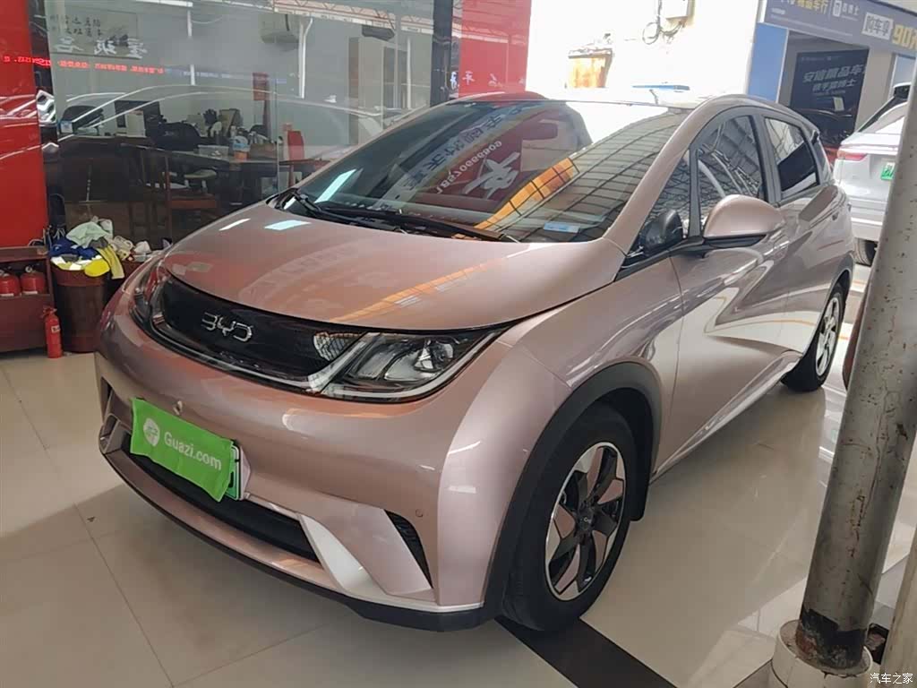BYD Dolphin, 2025 2